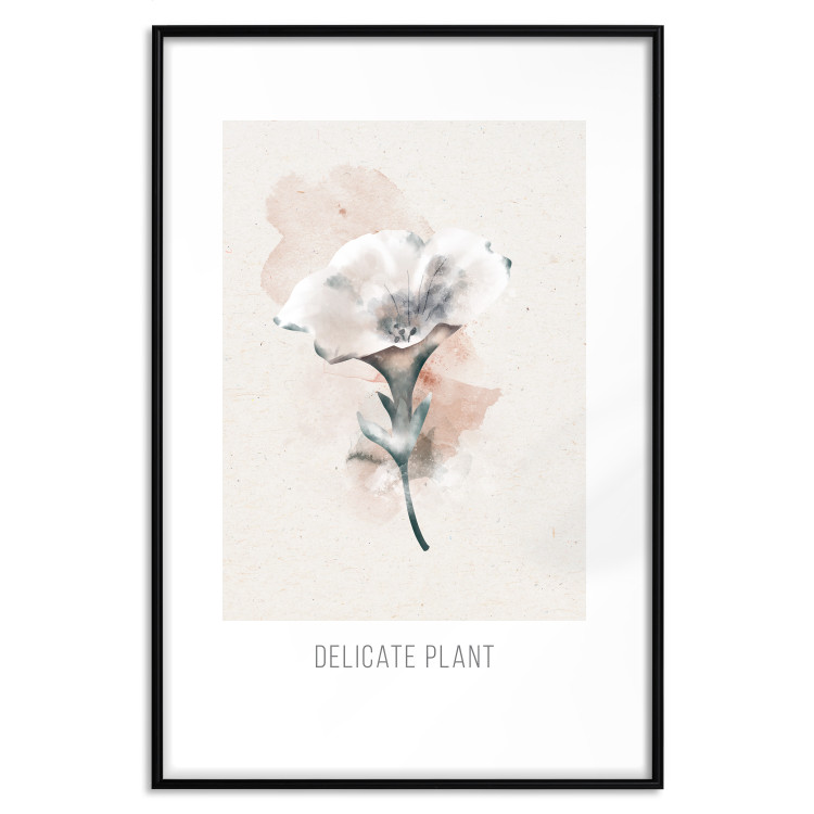 Wall Poster Delicate Plant [Poster] 142562 additionalImage 10