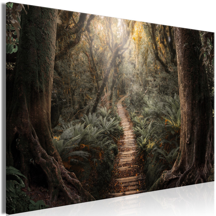 Canvas Way of Nature - Wooden Path Leading through the Paradise Jungle 146462 additionalImage 2