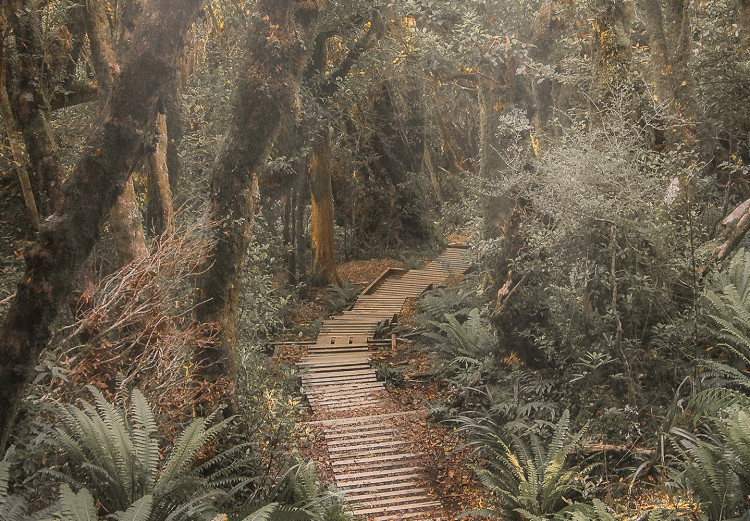Canvas Way of Nature - Wooden Path Leading through the Paradise Jungle 146462 additionalImage 4