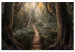 Canvas Way of Nature - Wooden Path Leading through the Paradise Jungle 146462