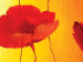 Canvas Poppies in the Sun (3-piece) - Flowers on shades of orange background 48562 additionalThumb 3
