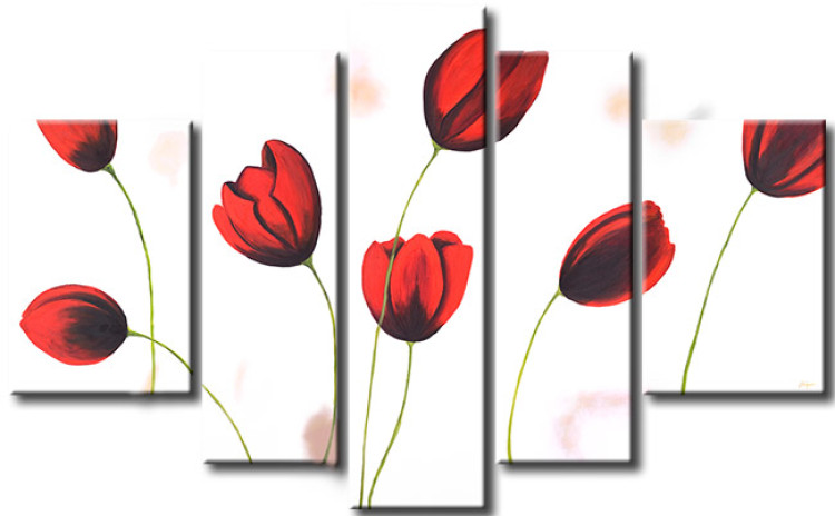 Canvas Tulips (5-piece) - Flowers on a white background with a delicate colour 48662