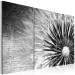 Canvas Dandelion (black and white) 50462 additionalThumb 2