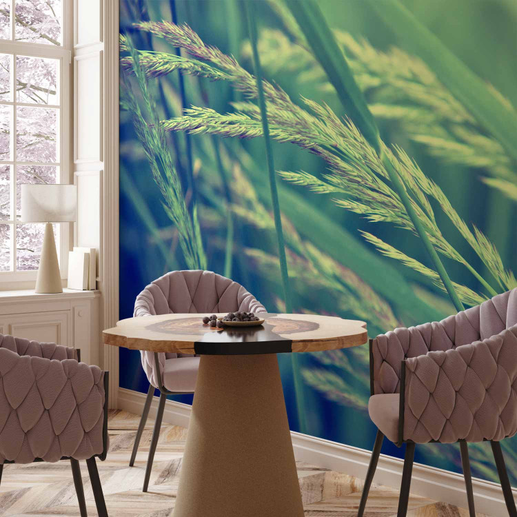Wall Mural Cereal field 60462 additionalImage 4