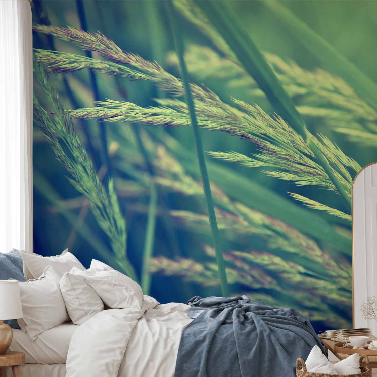 Wall Mural Cereal field 60462 additionalImage 2