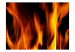 Photo Wallpaper Campfire 60562 additionalThumb 1