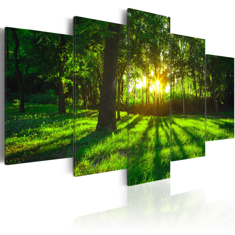 Canvas Print Morning in the forest 61762 additionalImage 2