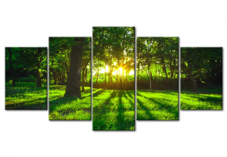 Canvas Print Morning in the forest 61762