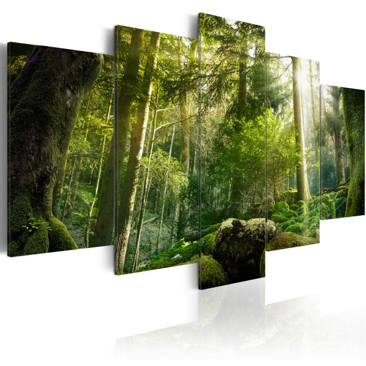 Canvas Print  The Beauty of the Forest 62462 additionalImage 2