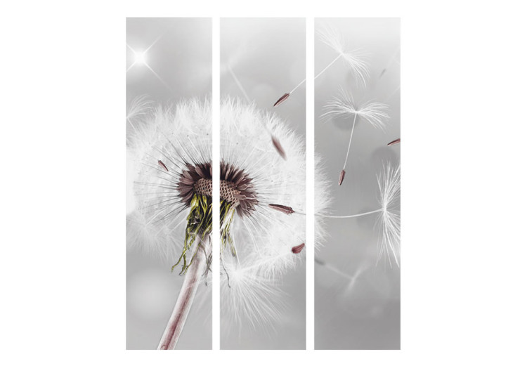 Room Separator Capturing the Transient - romantic dandelion flower on a gray background 95362 additionalImage 3