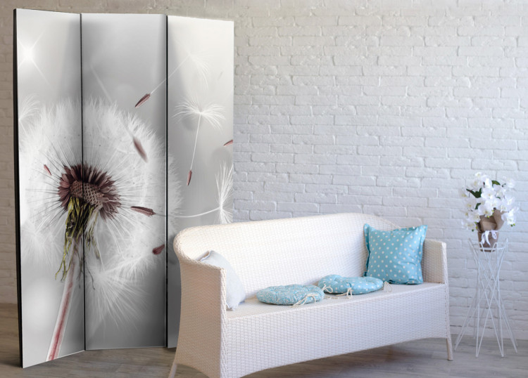 Room Separator Capturing the Transient - romantic dandelion flower on a gray background 95362 additionalImage 4