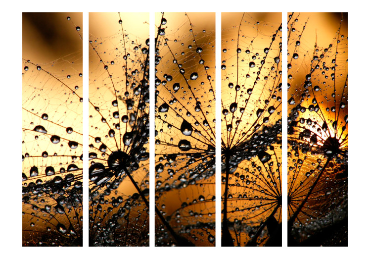 Room Divider Dandelions in the Rain II - dandelion with drops on an orange background 95662 additionalImage 3