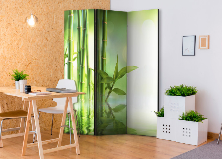 Room Divider Screen Green Bamboo - oriental green bamboo plant in a Zen motif 96062 additionalImage 4