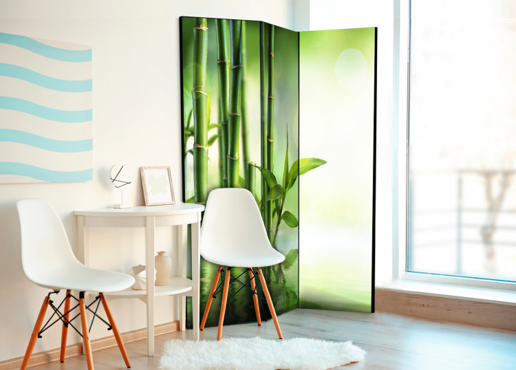 Room Divider Screen Green Bamboo - oriental green bamboo plant in a Zen motif 96062 additionalImage 2