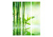 Room Divider Screen Green Bamboo - oriental green bamboo plant in a Zen motif 96062 additionalThumb 3