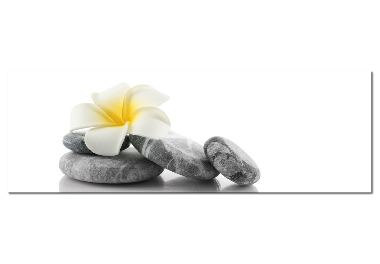Canvas Print White Lotus - Relaxing Zen-style Stones with Oriental Flower 97462