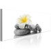 Canvas Print White Lotus - Relaxing Zen-style Stones with Oriental Flower 97462 additionalThumb 2