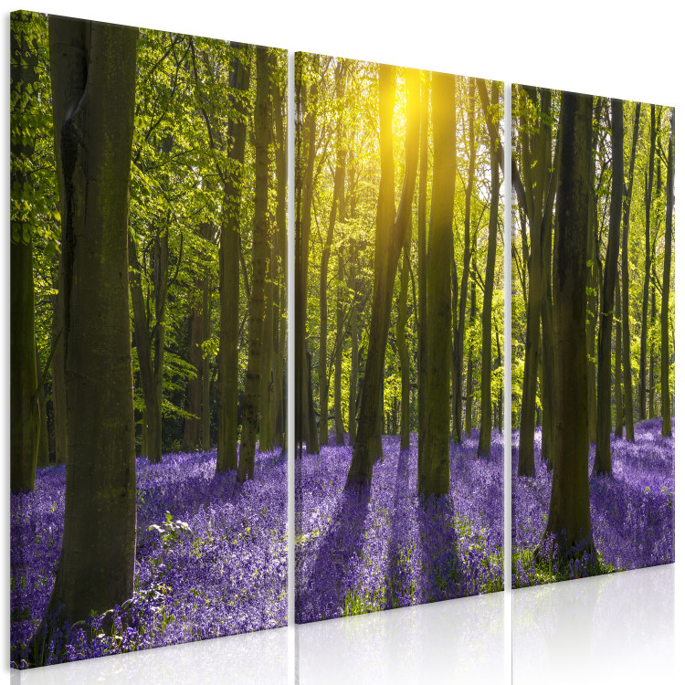 Canvas Hyacinth Field (3 Parts) 108172 additionalImage 2