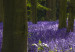 Canvas Hyacinth Field (3 Parts) 108172 additionalThumb 5