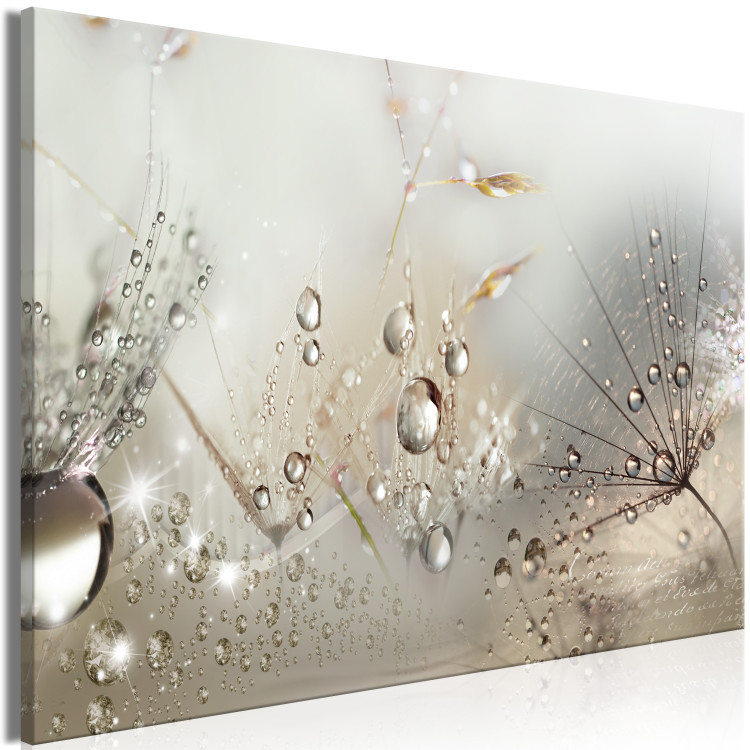 Canvas Print Summer in Beige Shades (1-part) - Drops of Nature on a Dandelion 114972 additionalImage 2