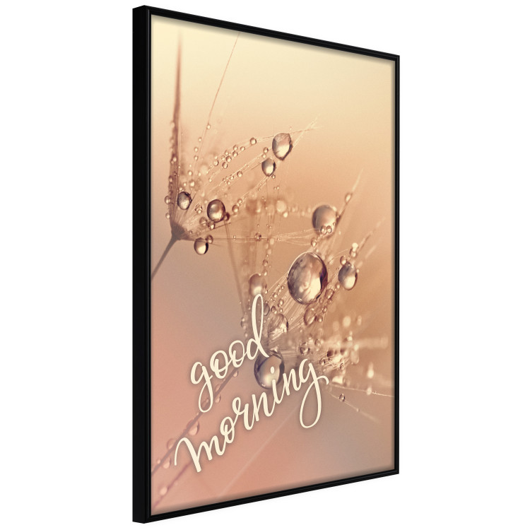 Poster Good morning - water drops on dandelions and warm-colored background 116372 additionalImage 10