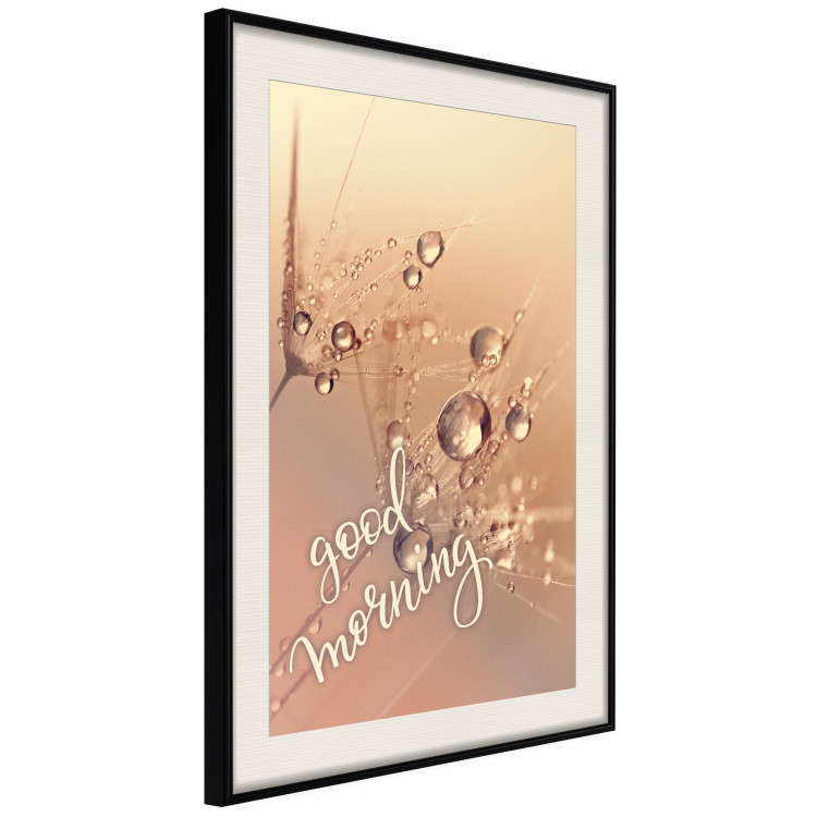 Poster Good morning - water drops on dandelions and warm-colored background 116372 additionalImage 3
