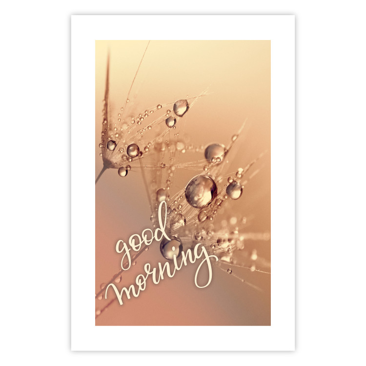 Poster Good morning - water drops on dandelions and warm-colored background 116372 additionalImage 25