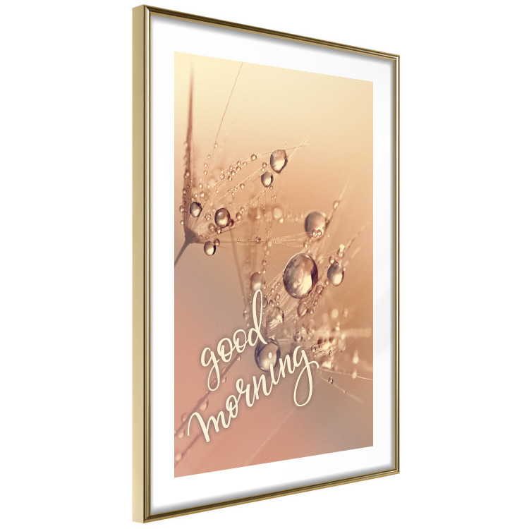 Poster Good morning - water drops on dandelions and warm-colored background 116372 additionalImage 8