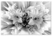 Canvas Abstract Lily Bouquet (1-part) - Black and White Flower Shade 117172