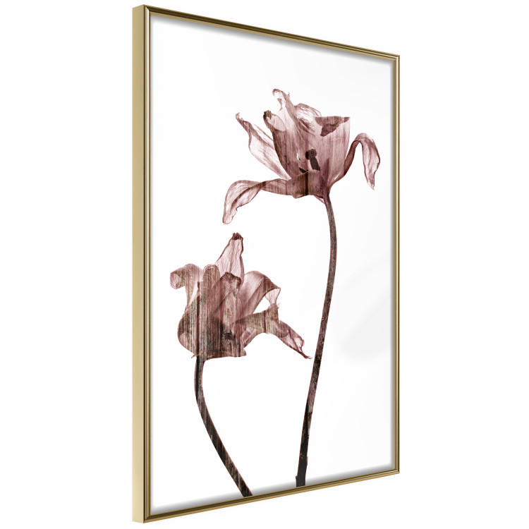 Wall Poster Translucent Closeness - botanical composition with powdery pink flowers 118272 additionalImage 12