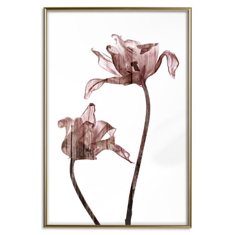 Wall Poster Translucent Closeness - botanical composition with powdery pink flowers 118272 additionalImage 18