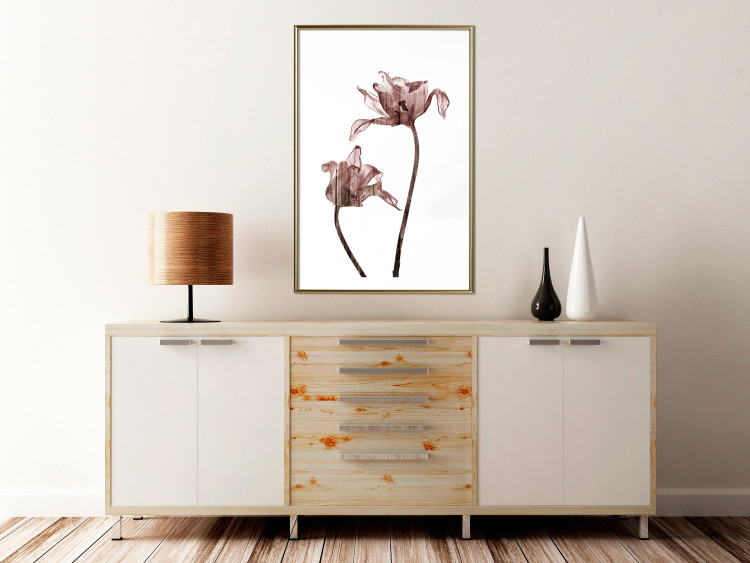 Wall Poster Translucent Closeness - botanical composition with powdery pink flowers 118272 additionalImage 13