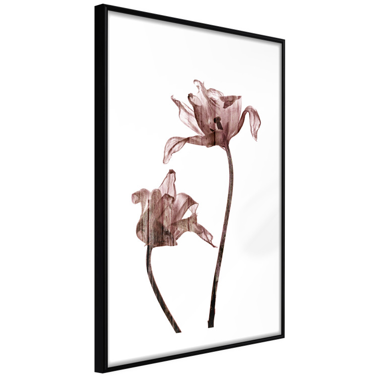 Wall Poster Translucent Closeness - botanical composition with powdery pink flowers 118272 additionalImage 11