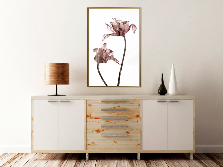 Wall Poster Translucent Closeness - botanical composition with powdery pink flowers 118272 additionalImage 5
