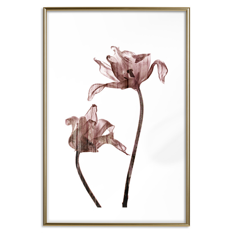 Wall Poster Translucent Closeness - botanical composition with powdery pink flowers 118272 additionalImage 20
