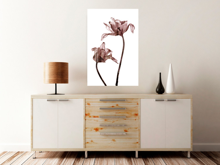 Wall Poster Translucent Closeness - botanical composition with powdery pink flowers 118272 additionalImage 14