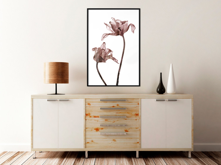 Wall Poster Translucent Closeness - botanical composition with powdery pink flowers 118272 additionalImage 3