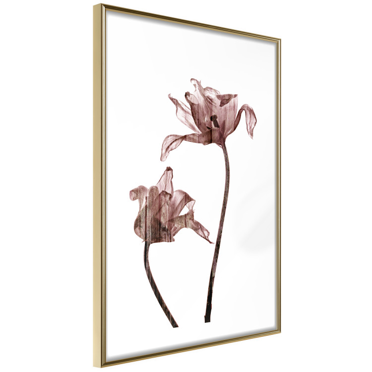 Wall Poster Translucent Closeness - botanical composition with powdery pink flowers 118272 additionalImage 6