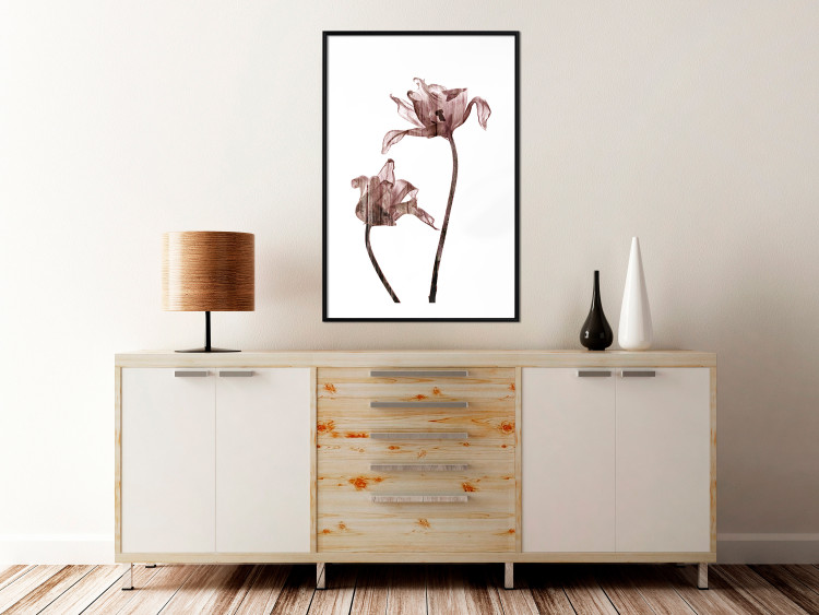 Wall Poster Translucent Closeness - botanical composition with powdery pink flowers 118272 additionalImage 4