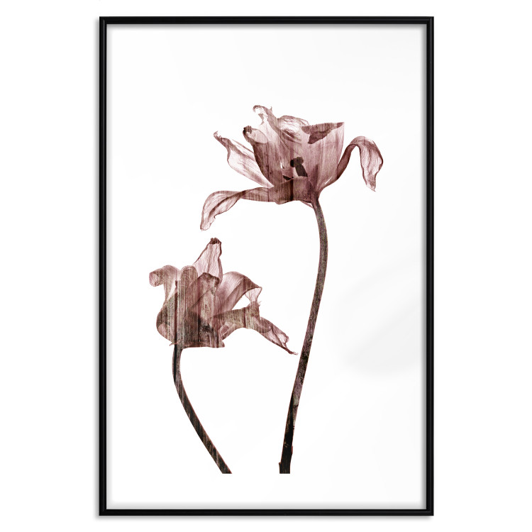 Wall Poster Translucent Closeness - botanical composition with powdery pink flowers 118272 additionalImage 19
