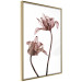 Wall Poster Translucent Closeness - botanical composition with powdery pink flowers 118272 additionalThumb 12
