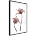 Wall Poster Translucent Closeness - botanical composition with powdery pink flowers 118272 additionalThumb 11