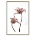 Wall Poster Translucent Closeness - botanical composition with powdery pink flowers 118272 additionalThumb 20
