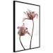 Wall Poster Translucent Closeness - botanical composition with powdery pink flowers 118272 additionalThumb 10