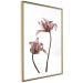 Wall Poster Translucent Closeness - botanical composition with powdery pink flowers 118272 additionalThumb 6