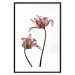 Wall Poster Translucent Closeness - botanical composition with powdery pink flowers 118272 additionalThumb 19