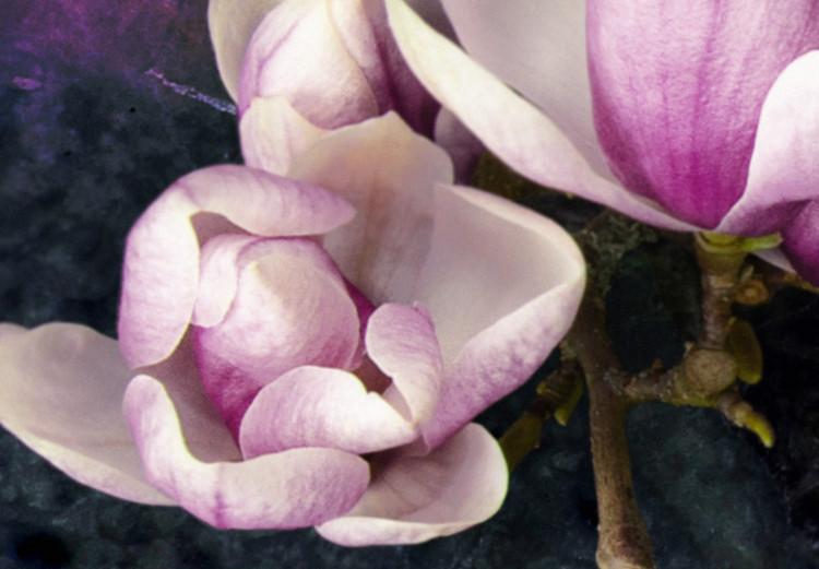 Canvas Art Print Avant-Garde Magnolia (1 Part) Narrow Violet 125772 additionalImage 4