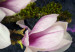 Canvas Art Print Avant-Garde Magnolia (1 Part) Narrow Violet 125772 additionalThumb 5