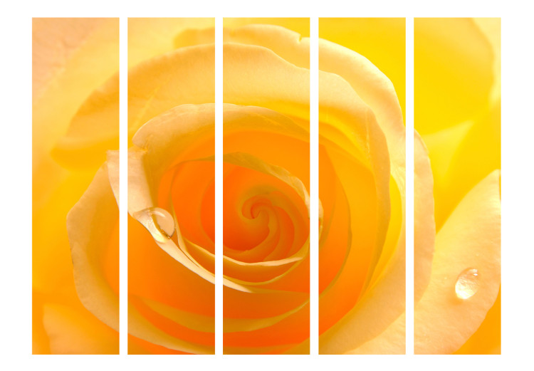 Room Divider Screen Yellow Rose II (5-piece) - close-up on delicate floral petals 132672 additionalImage 3