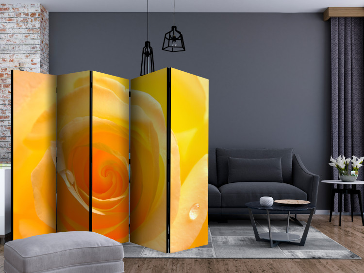 Room Divider Screen Yellow Rose II (5-piece) - close-up on delicate floral petals 132672 additionalImage 4